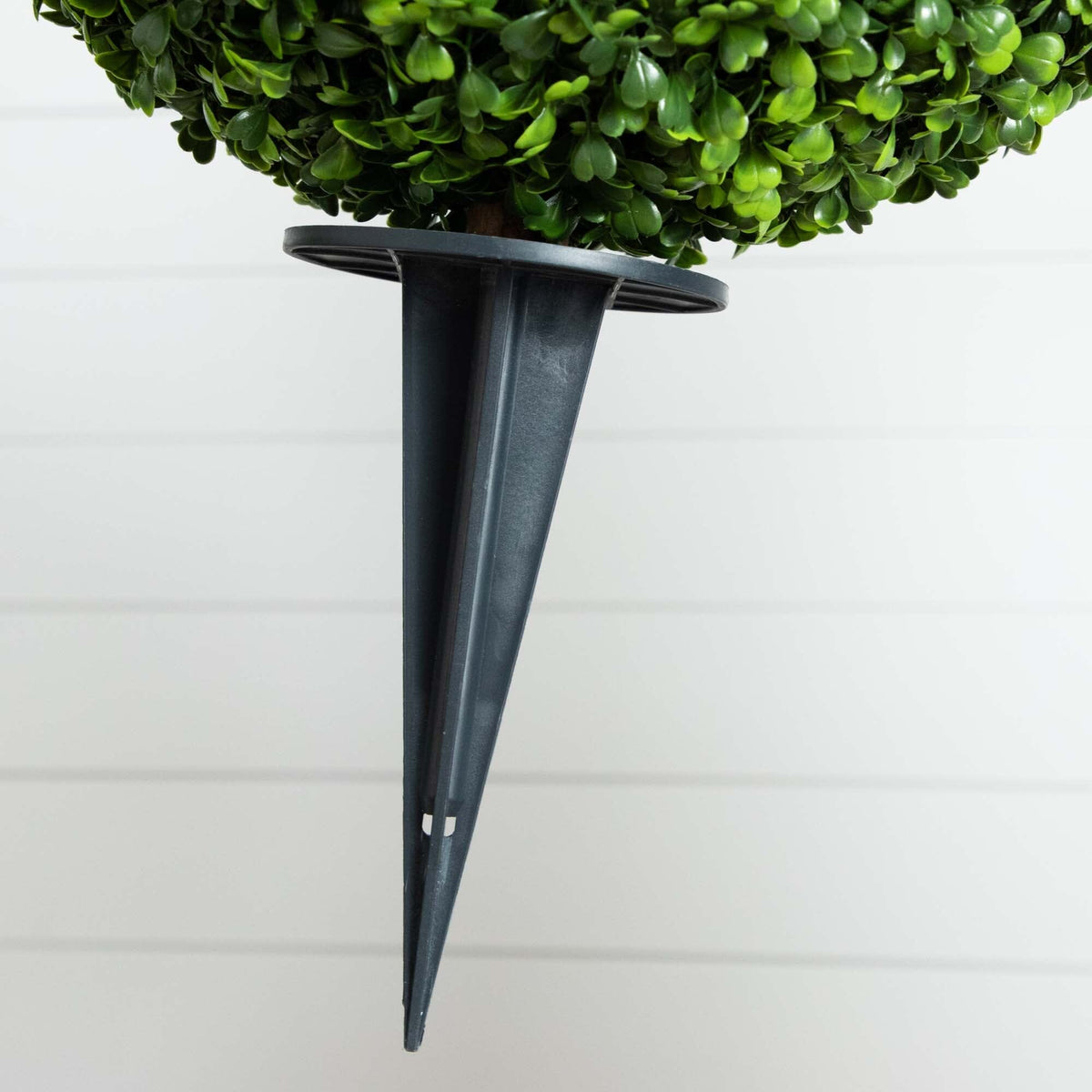 a plant on a stand
