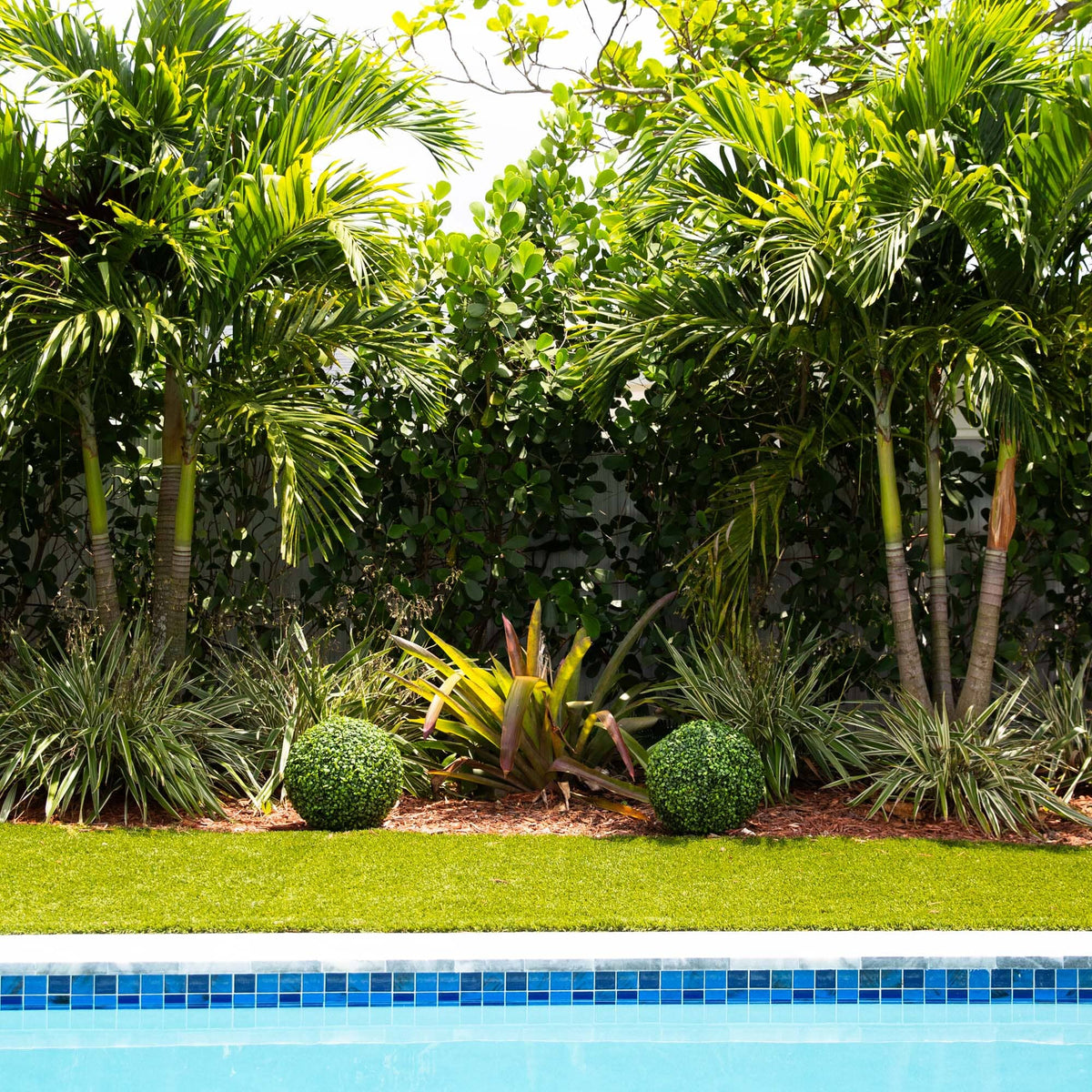 a pool with palm trees and bushes