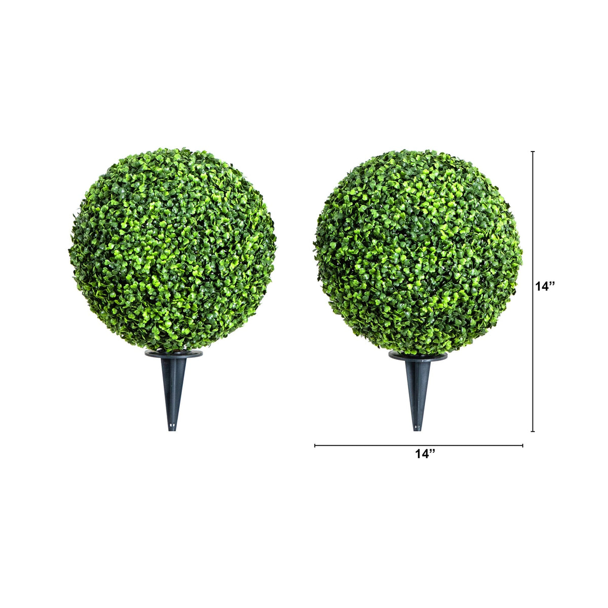 a pair of round shaped plants
