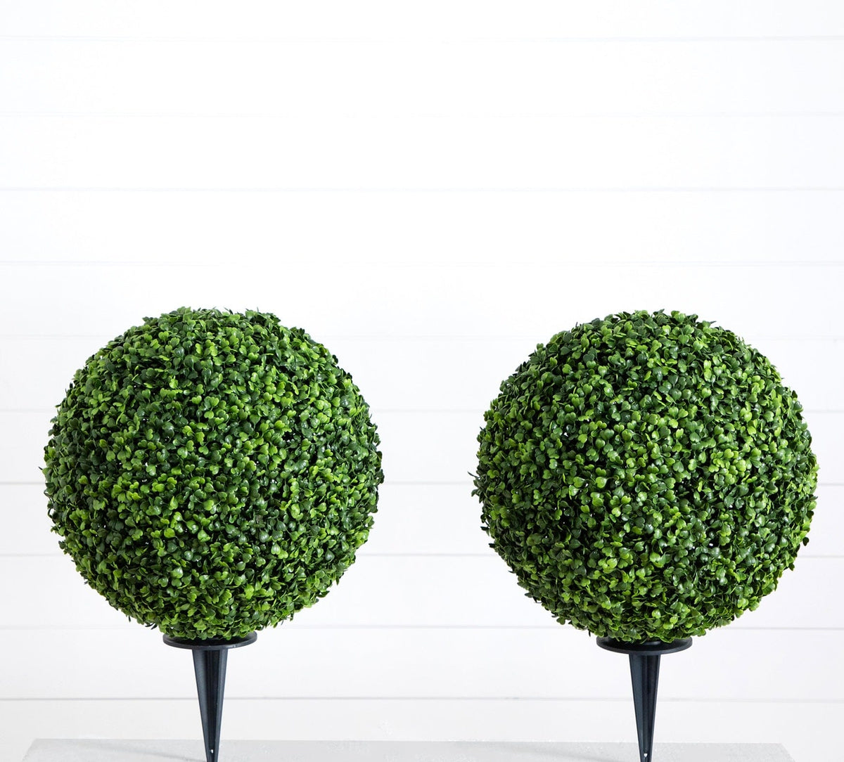 two plants on a stand