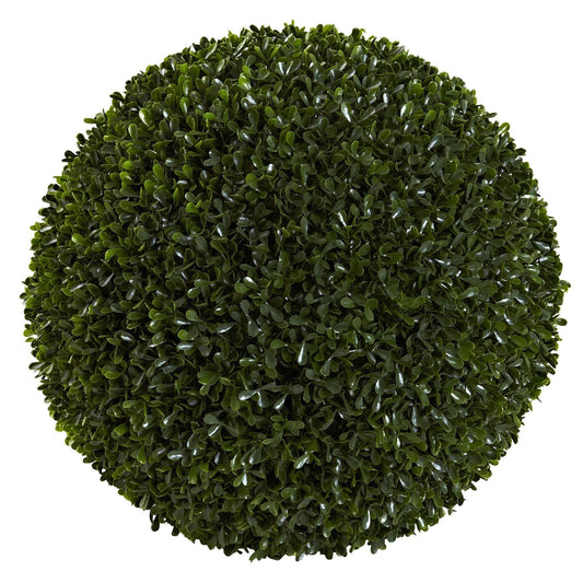 a round green bush with leaves