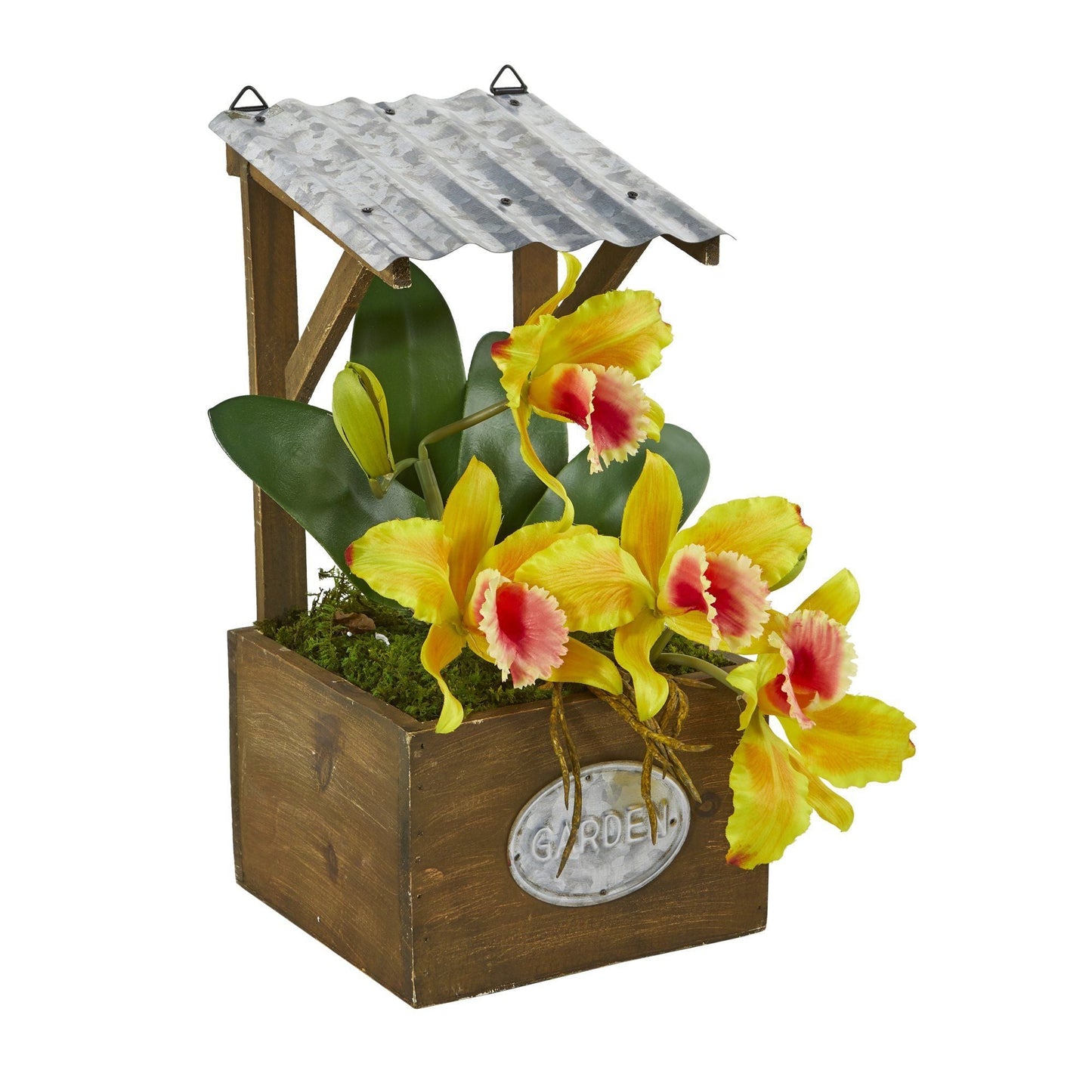 14” Cattleya Orchid Arrangement in Tin Roof Planter