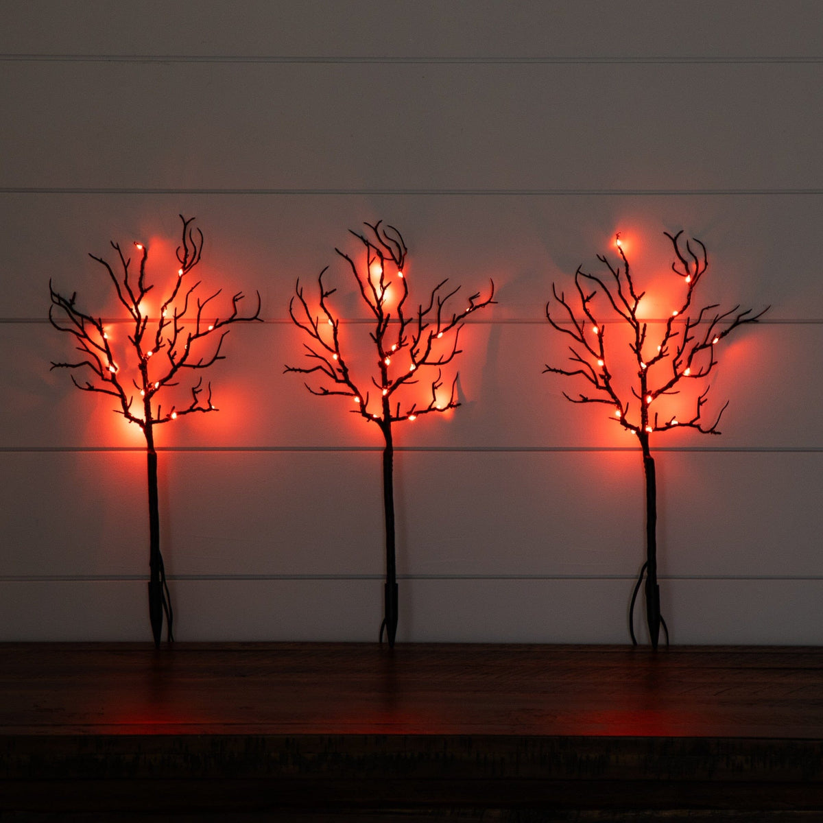 a group of trees with lights on them