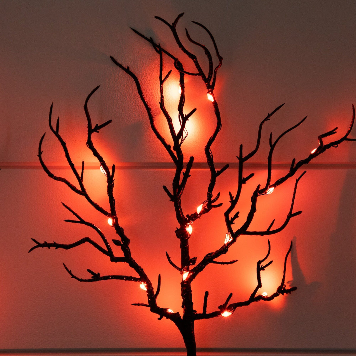 a tree with lights on it