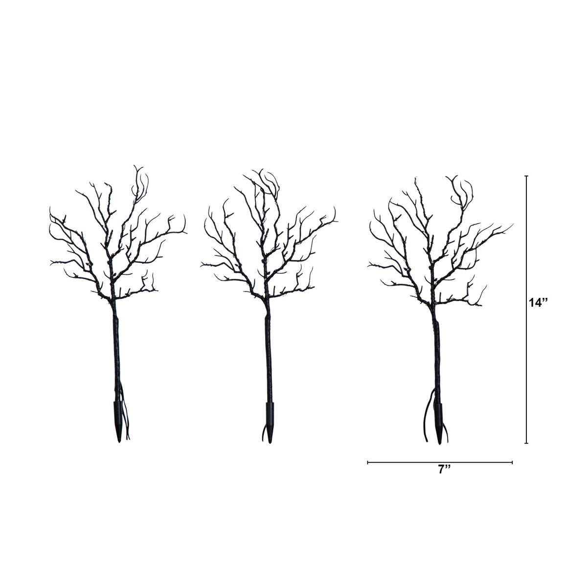 a group of trees with no leaves