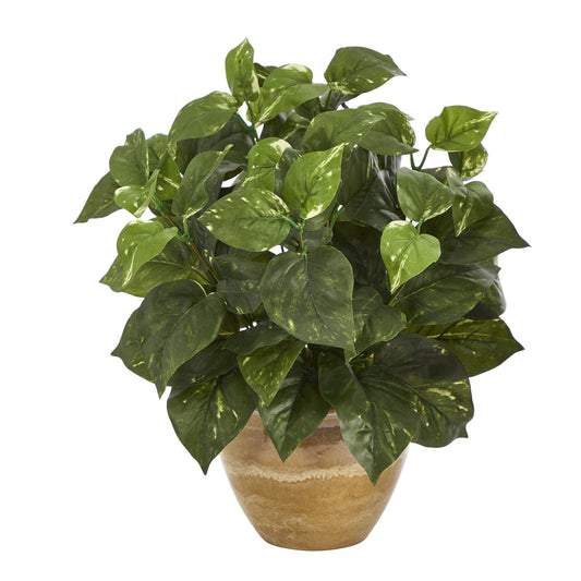a potted plant with green leaves