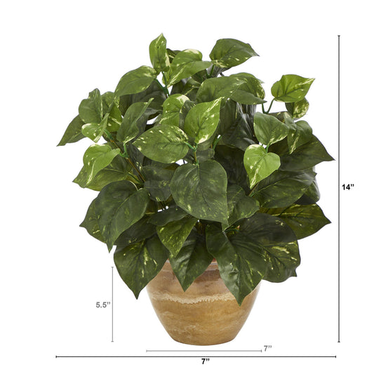 a plant in a pot