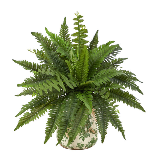 a plant in a pot
