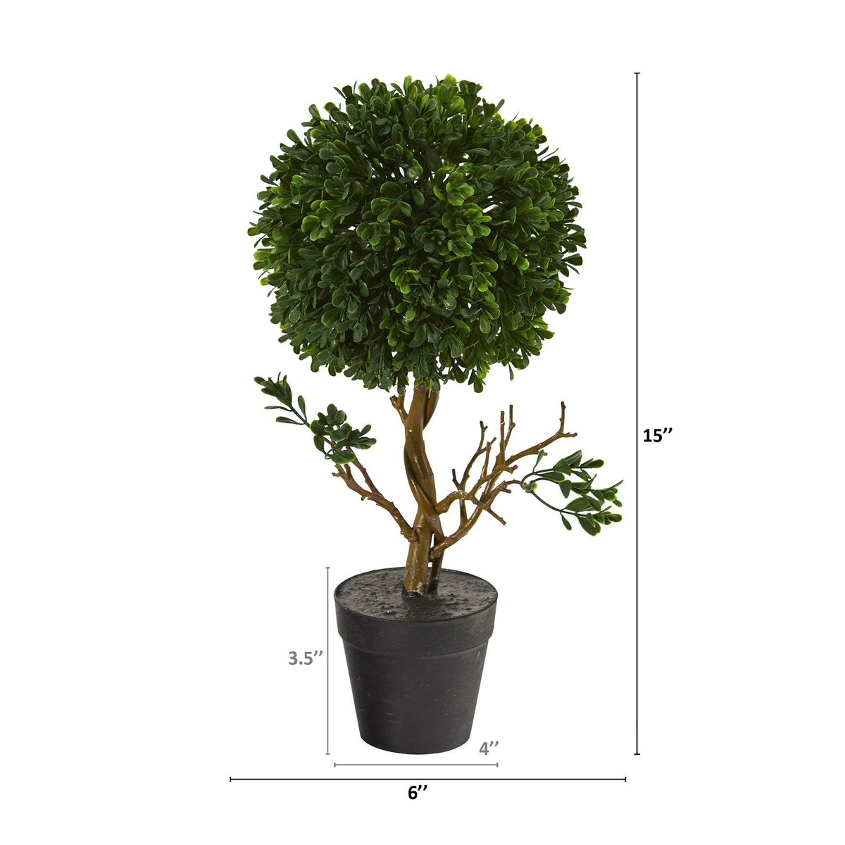 a potted plant with a small round topiary
