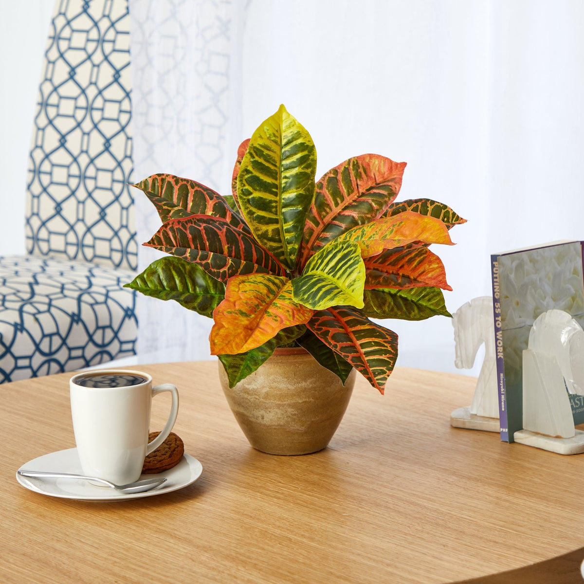 a plant in a pot on a table