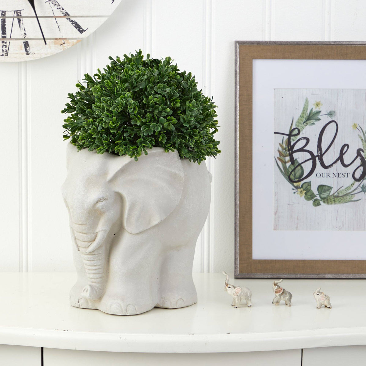 a plant in a pot