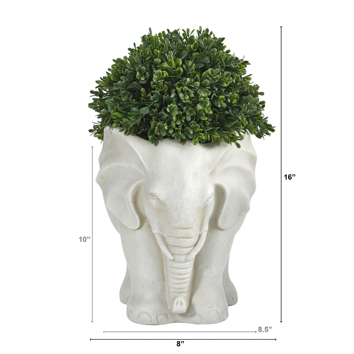 a plant in a pot