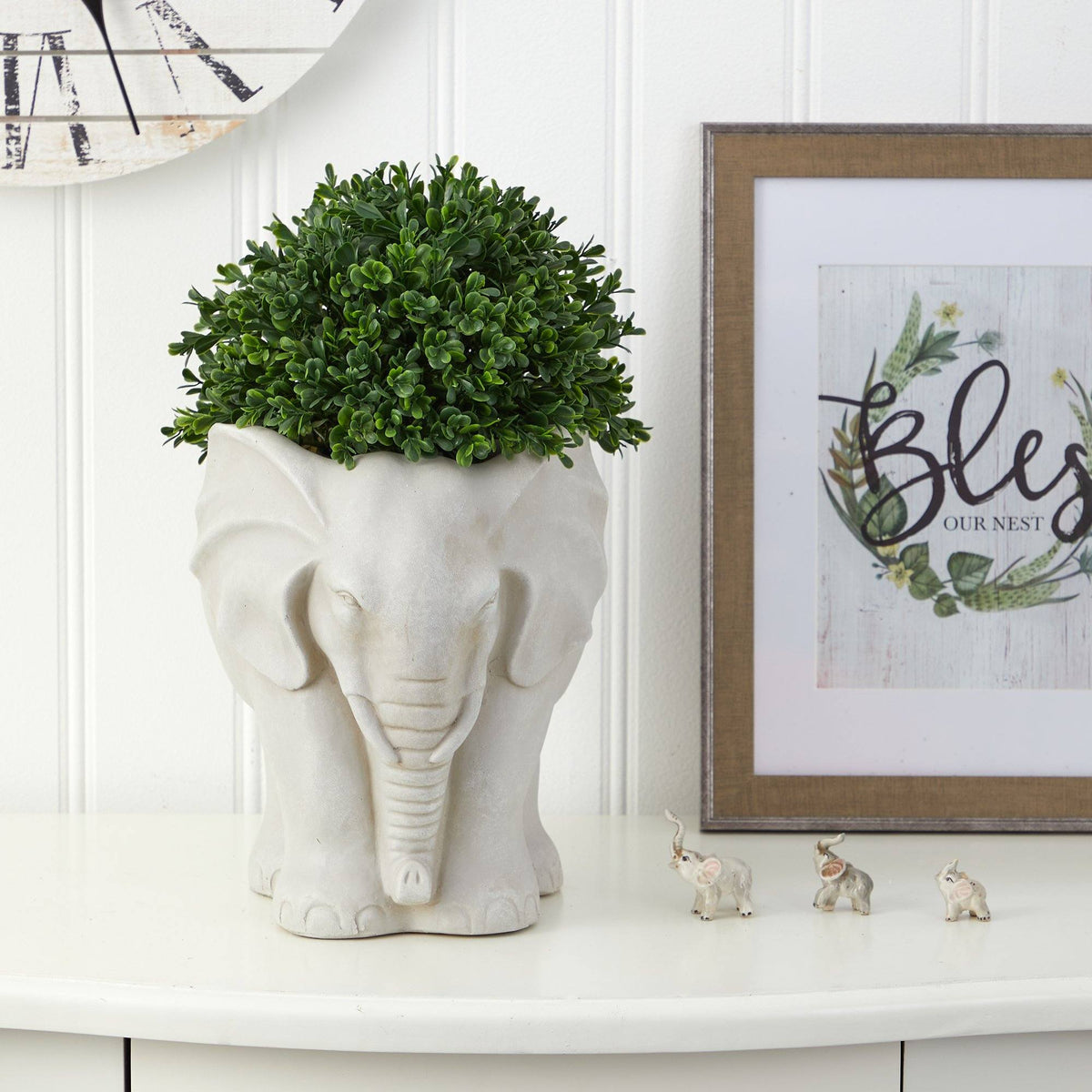 a plant in a pot