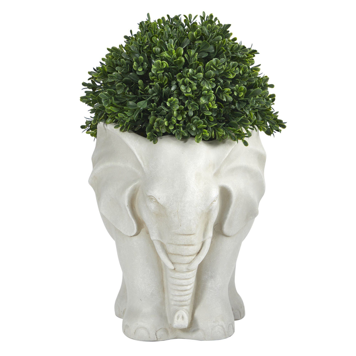 a plant in a pot