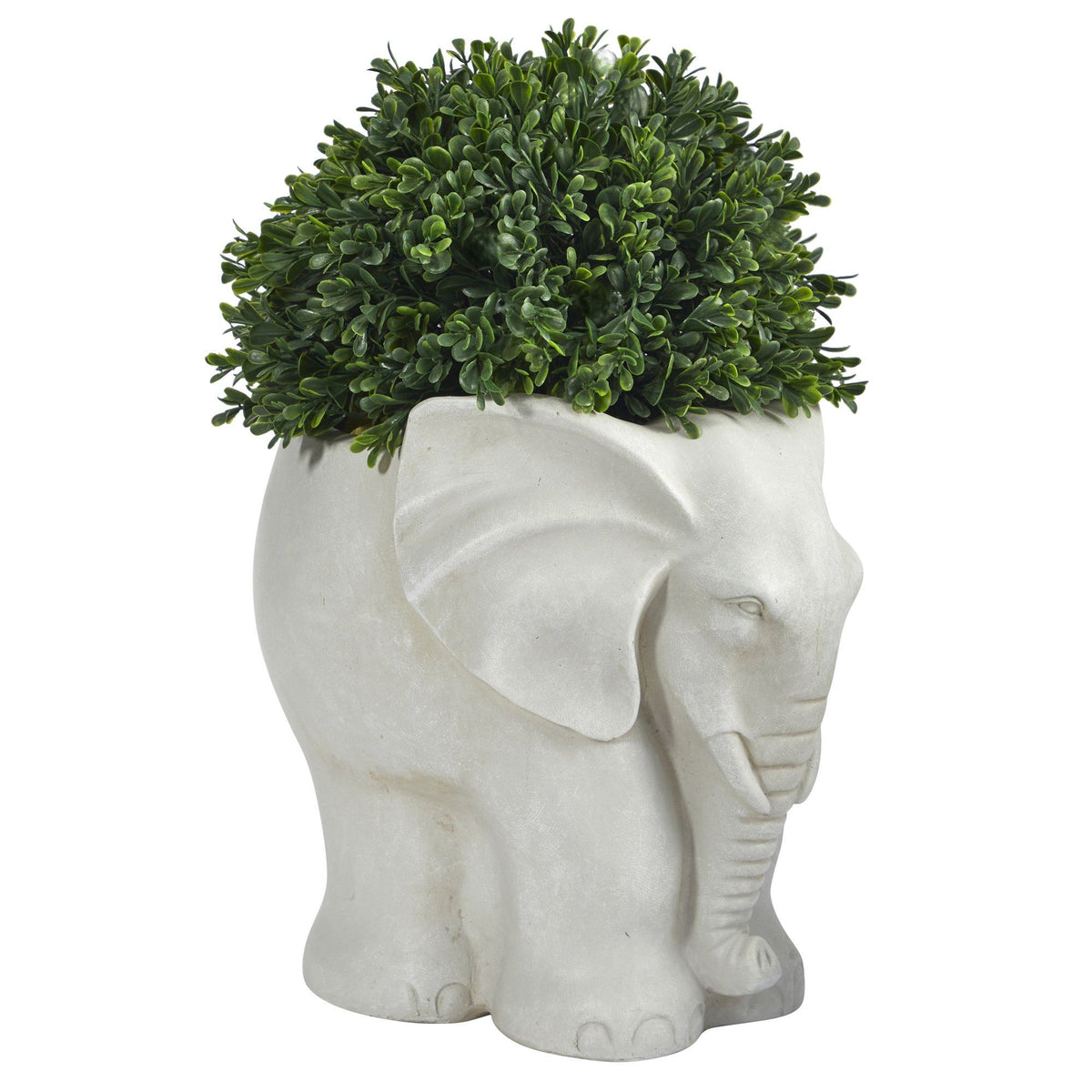 a plant in a pot