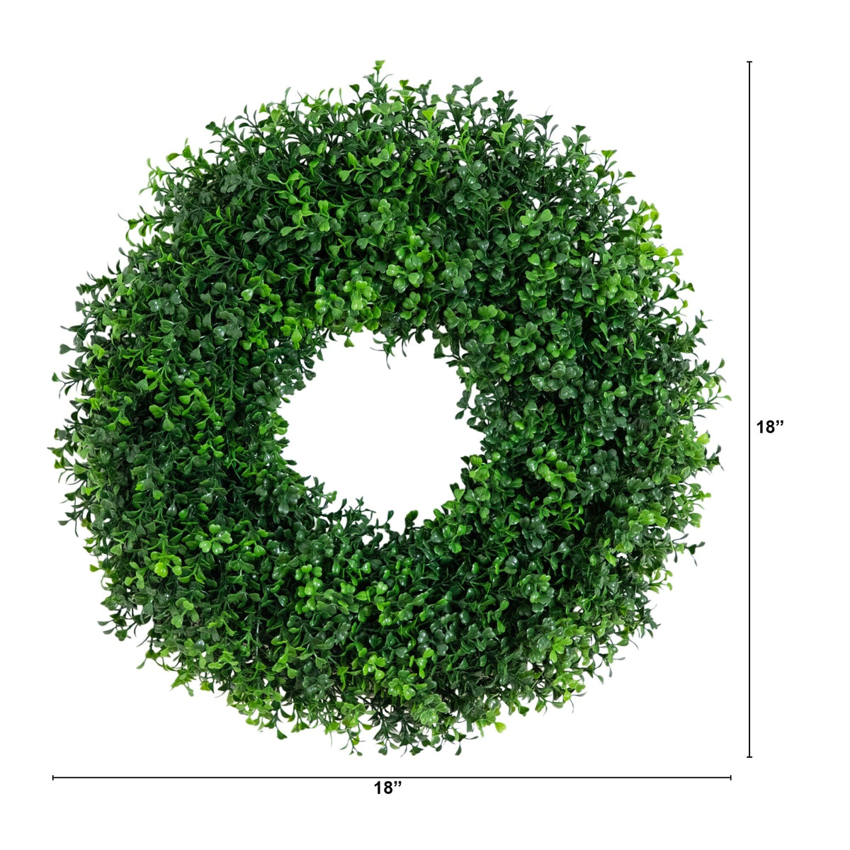 a green plant with a circle