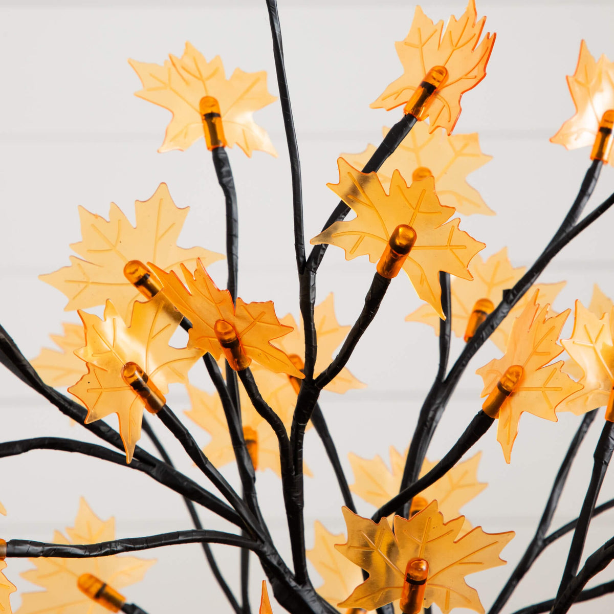 a tree with orange leaves on it