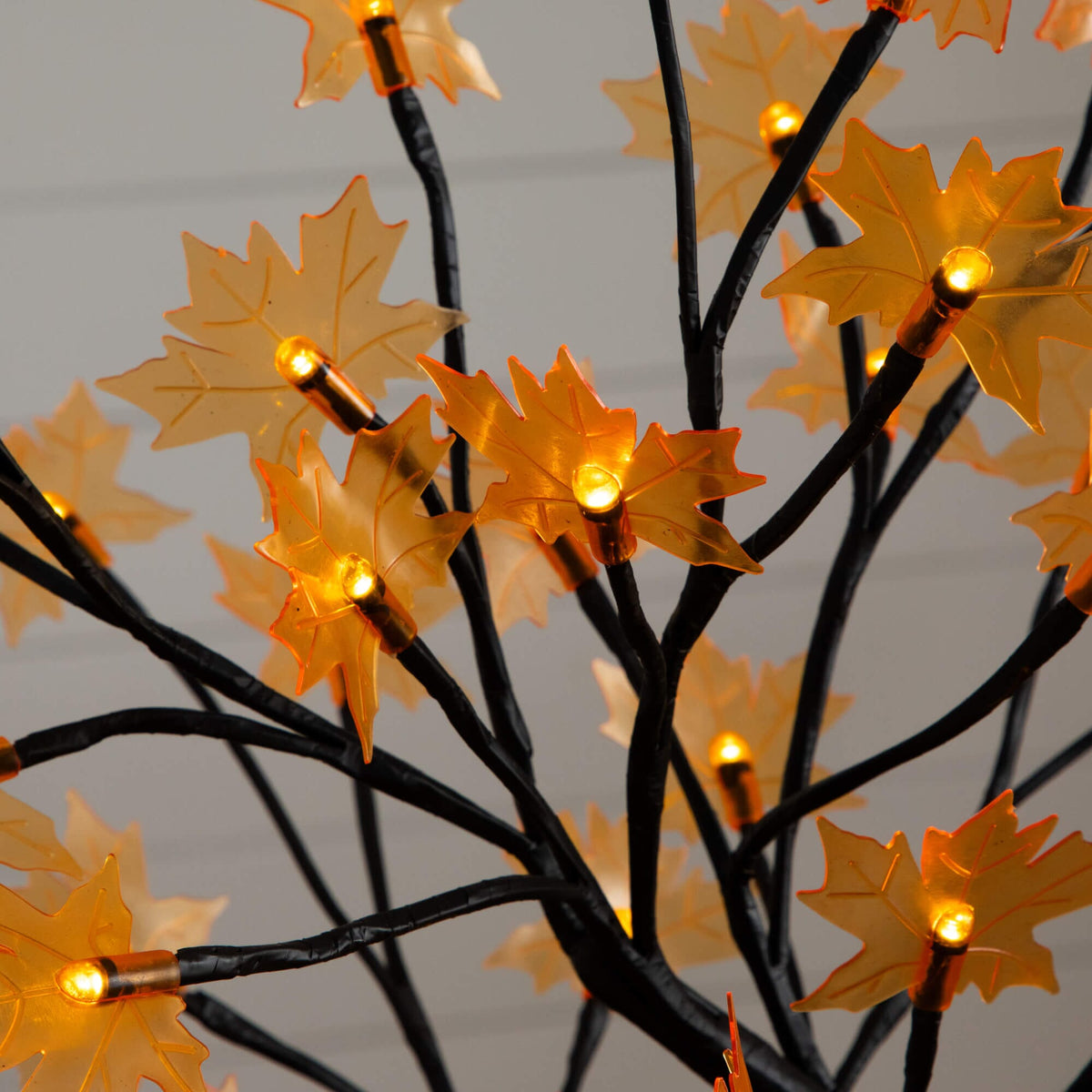 a tree with orange lights