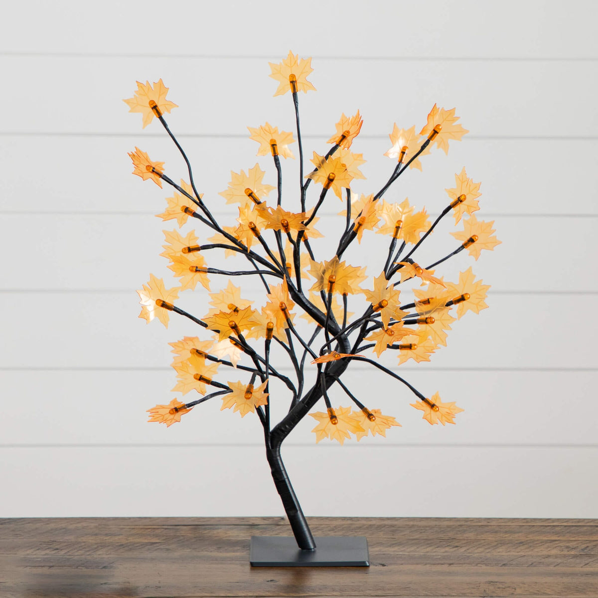 a tree with yellow leaves on it