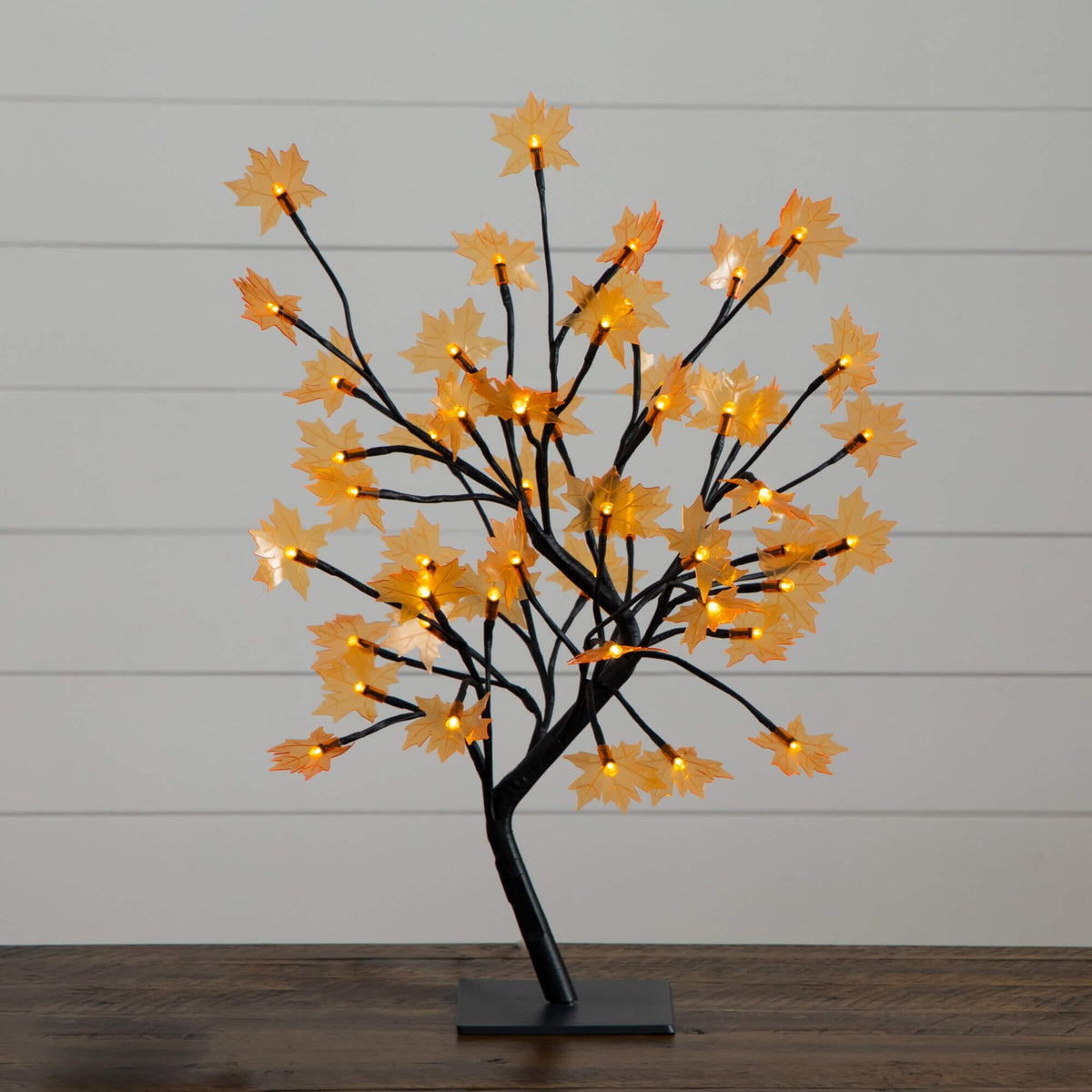 a tree with lights on it
