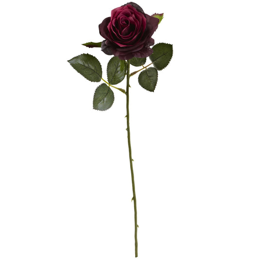a close up of a rose