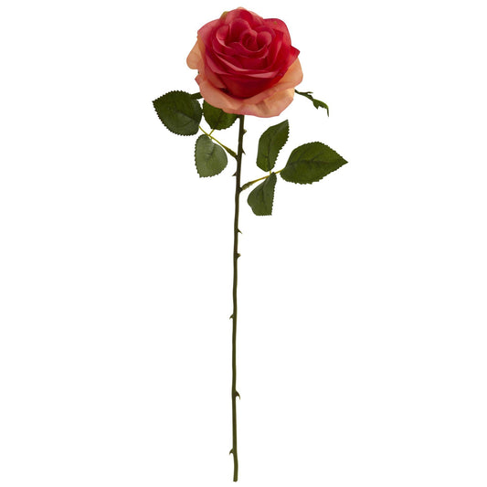 a close up of a rose