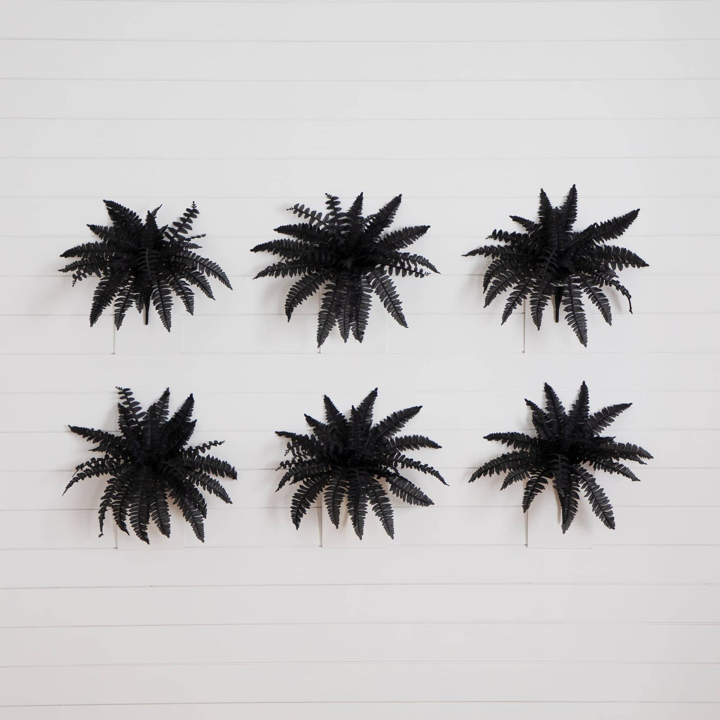 19" Artificial Halloween Black Boston Fern - Set of 6