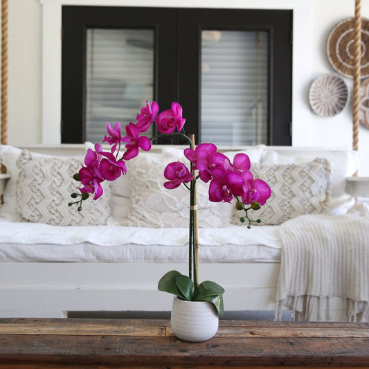a purple flowers in a vase on a table