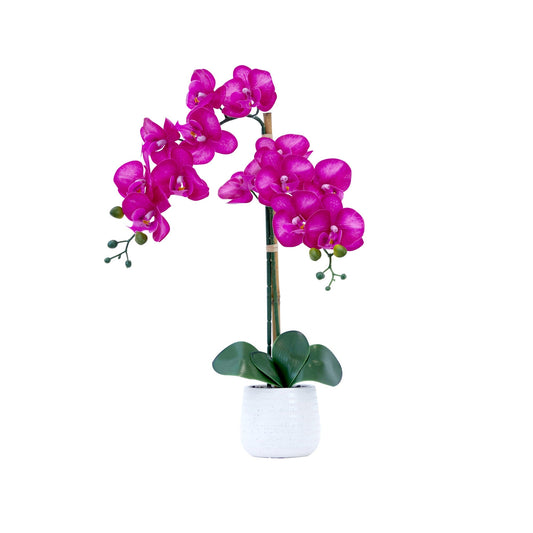 a purple flower in a white pot