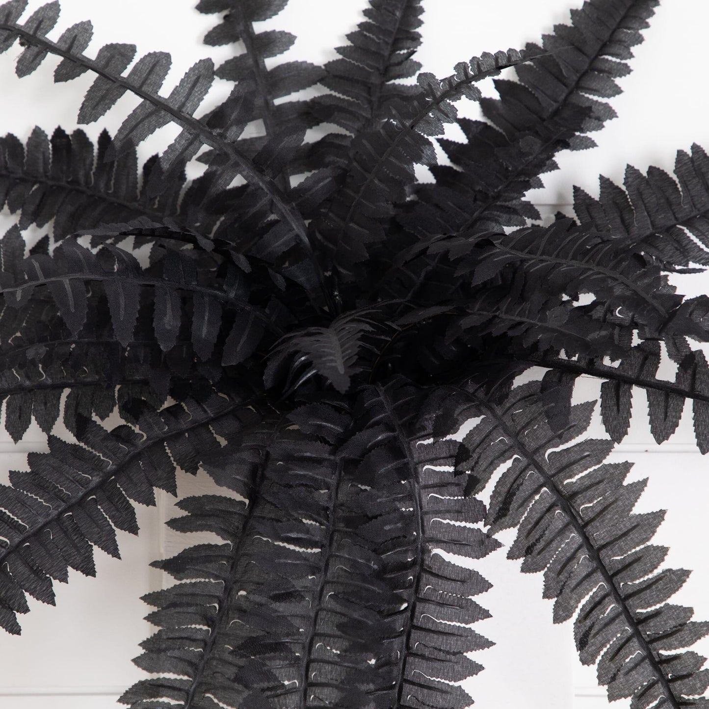 19" Artificial Halloween Black Boston Fern - Set of 6