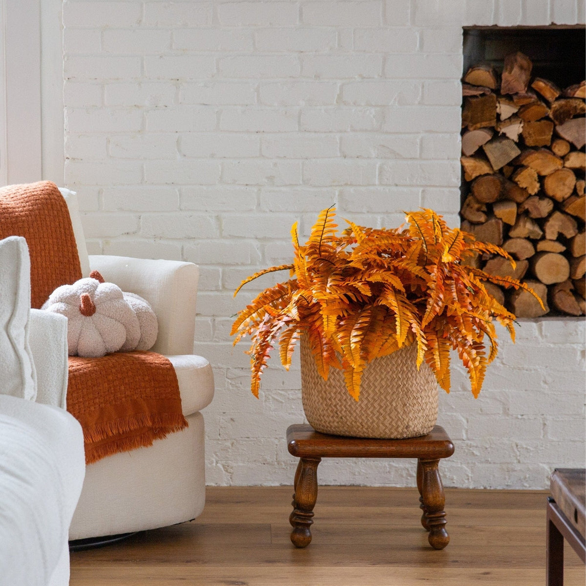 a plant in a pot next to a fireplace