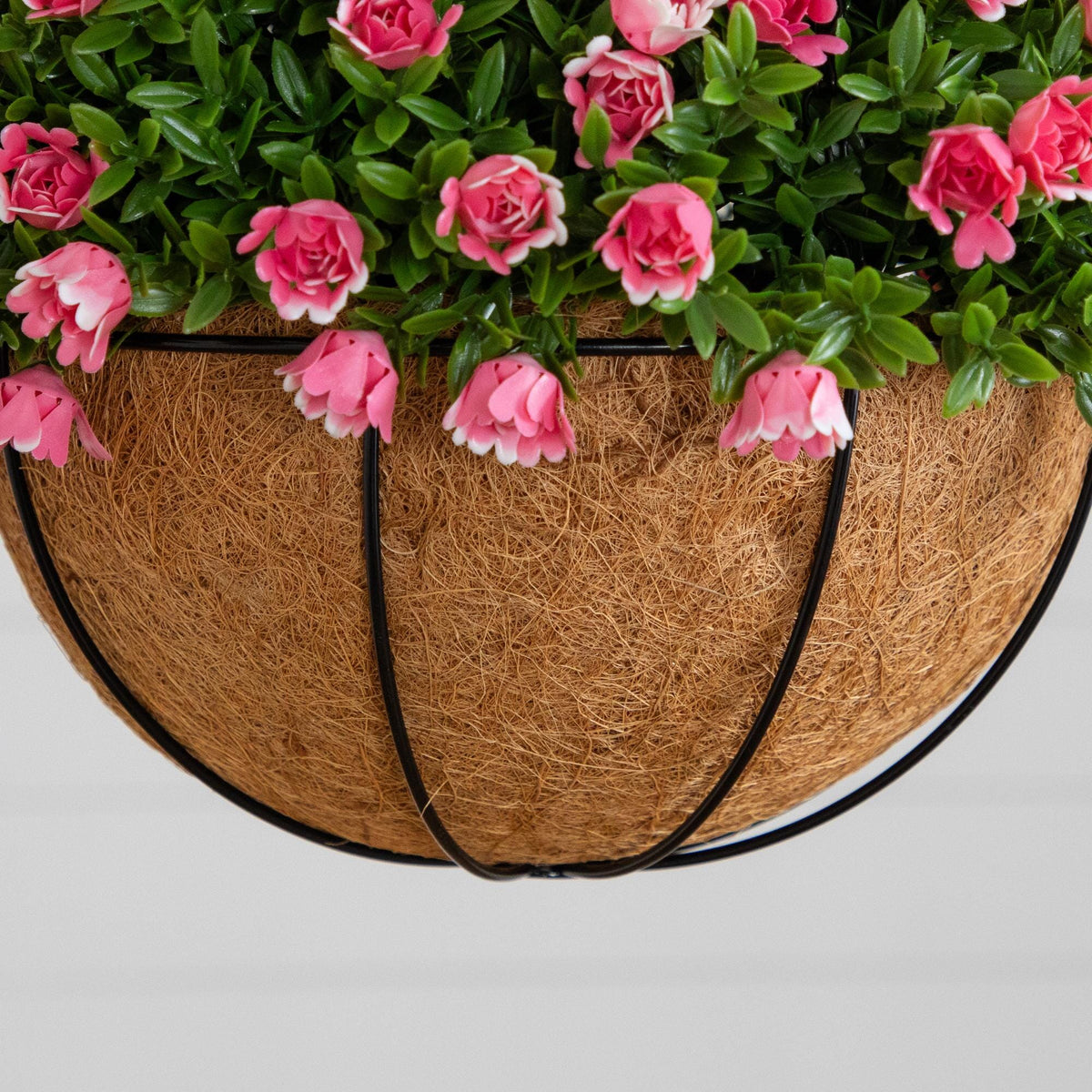 a plant in a basket