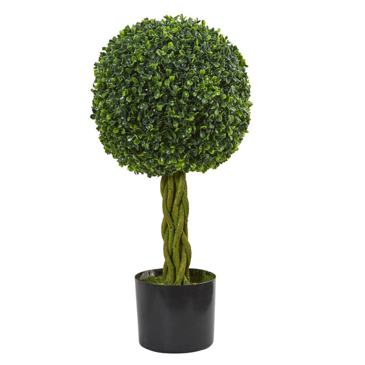 a plant in a pot