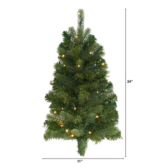 a christmas tree with lights