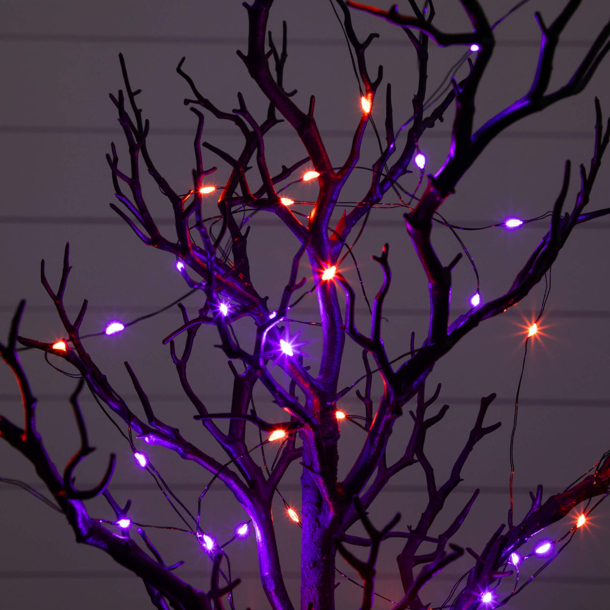 a tree with lights on it