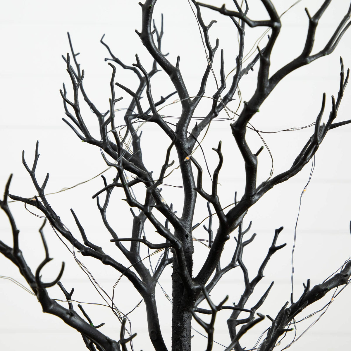 a black tree branch with no leaves