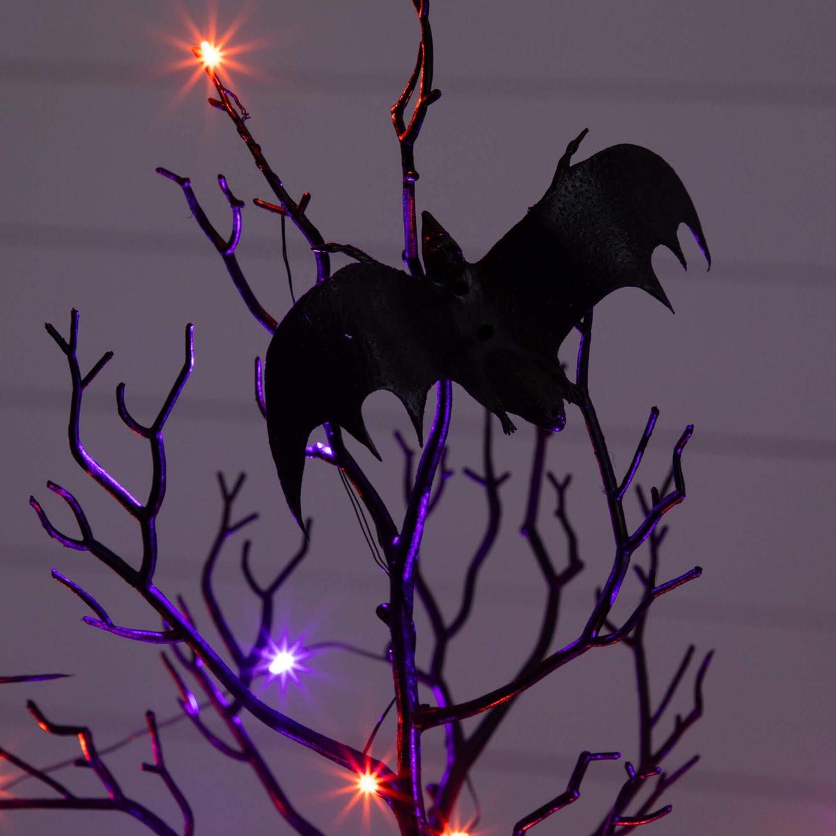 a black bat on a tree