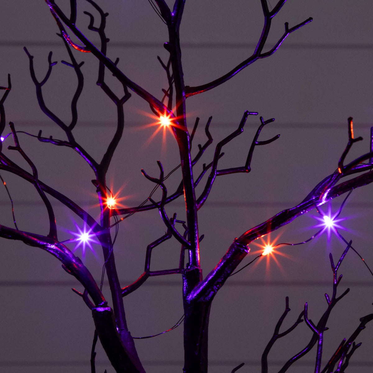 a tree with lights on it