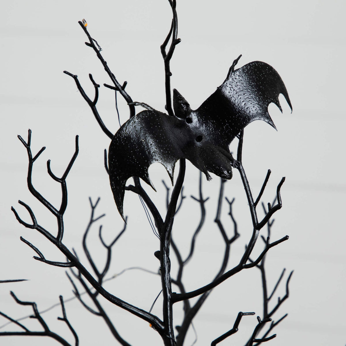 a black bat on a tree