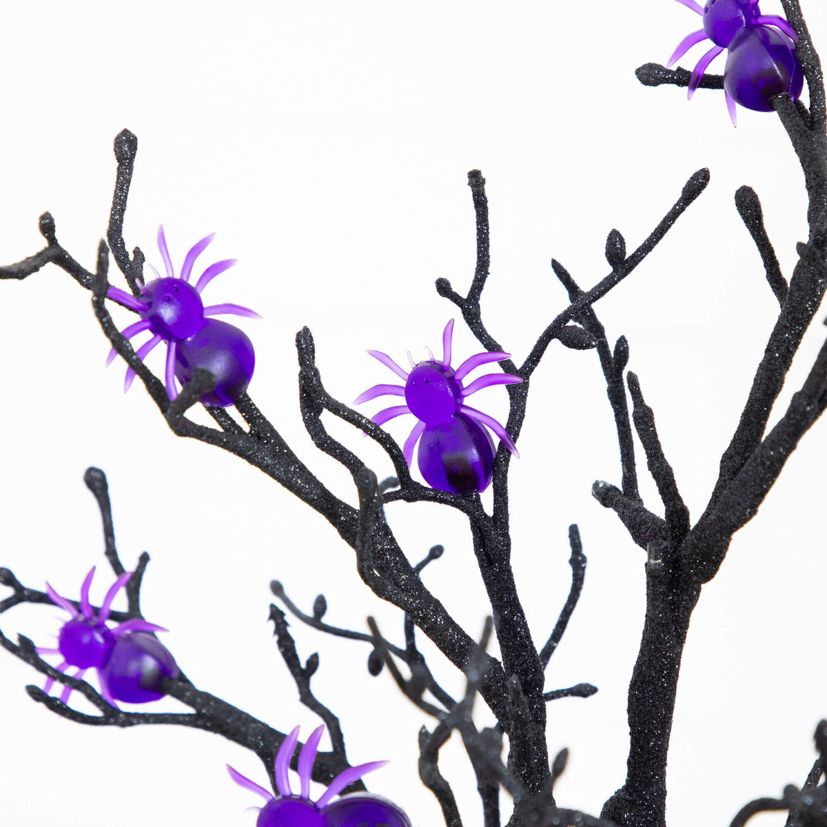 a black and purple spider tree