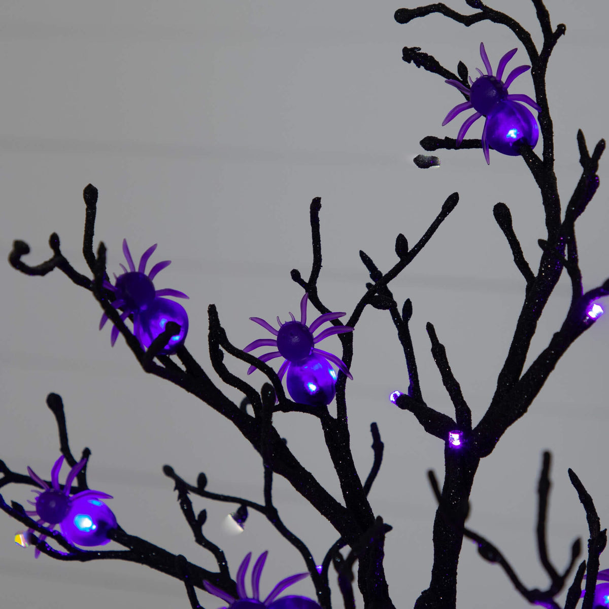 a tree with purple lights