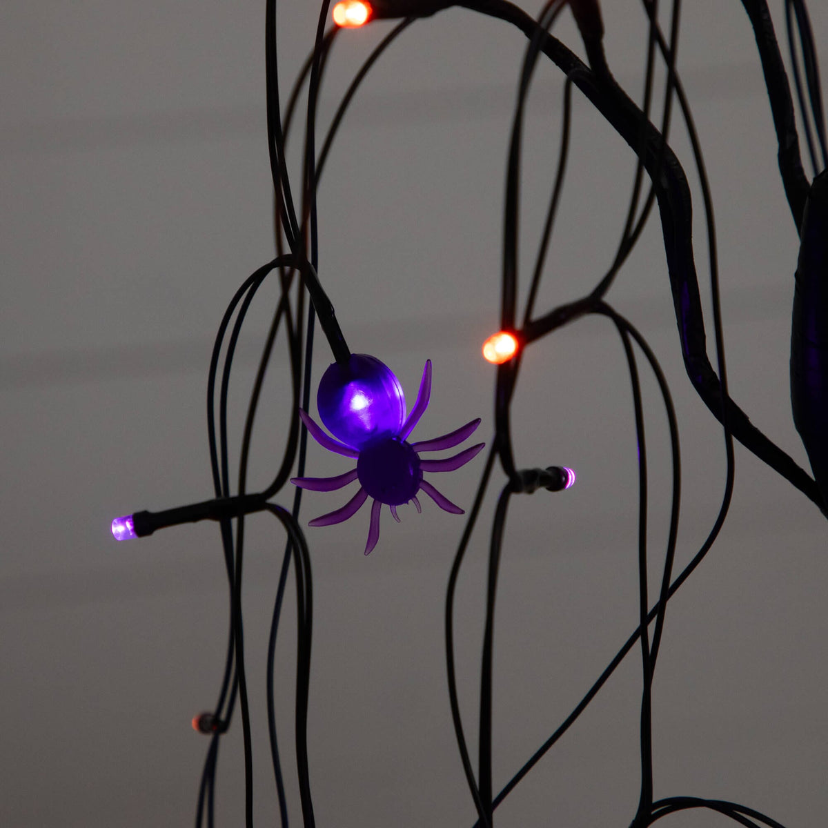 a purple spider with lights