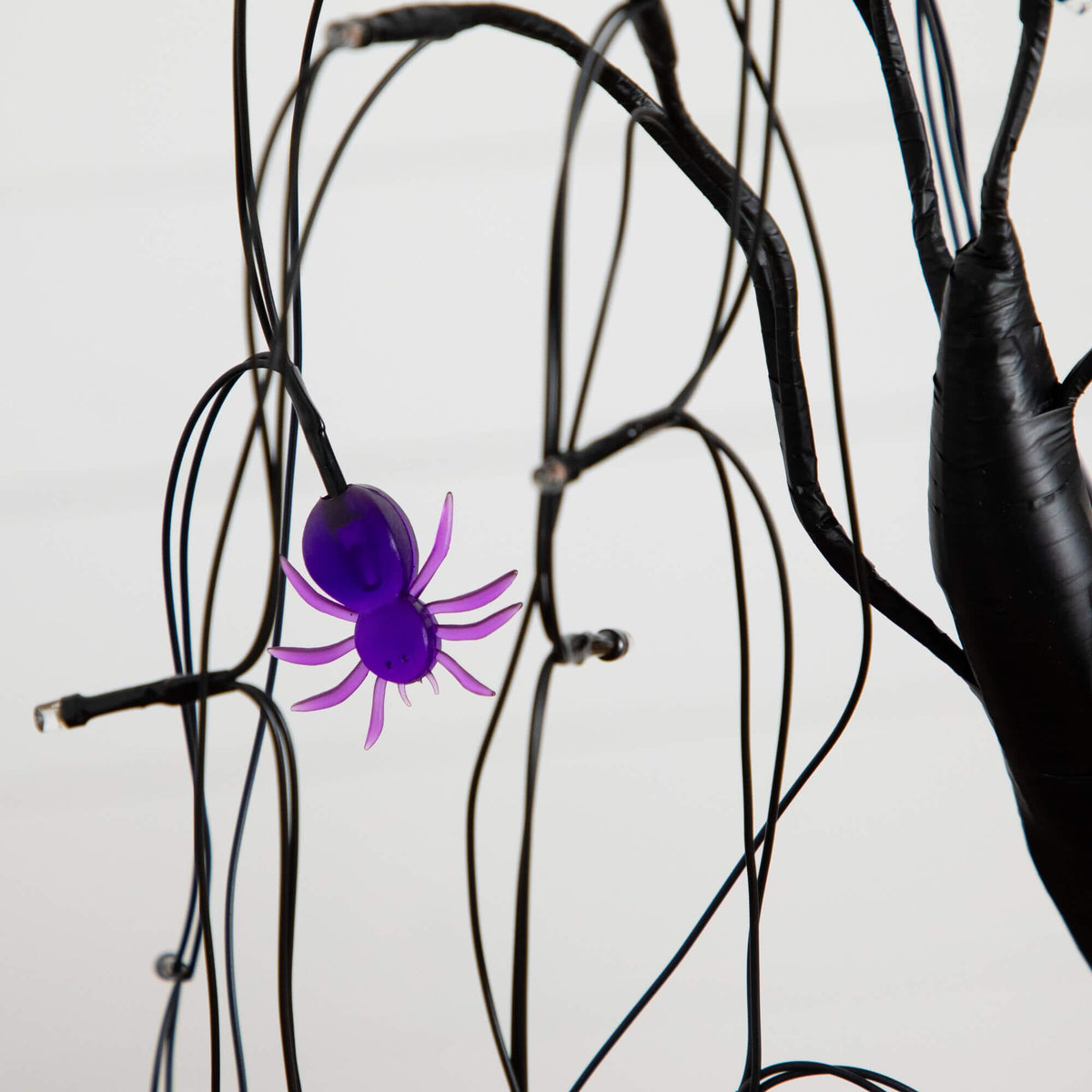a purple spider from a tree