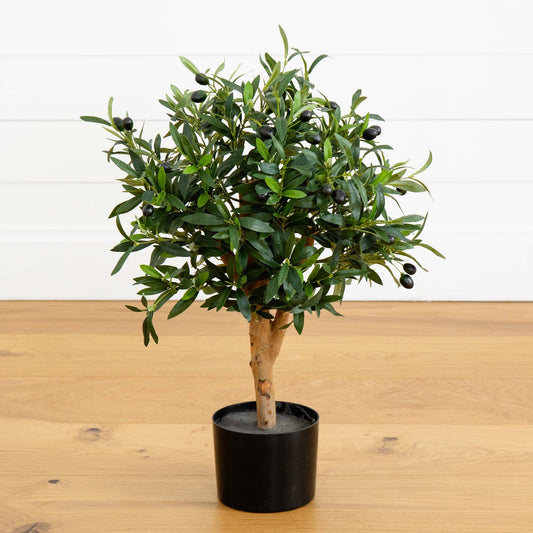 a small tree in a pot