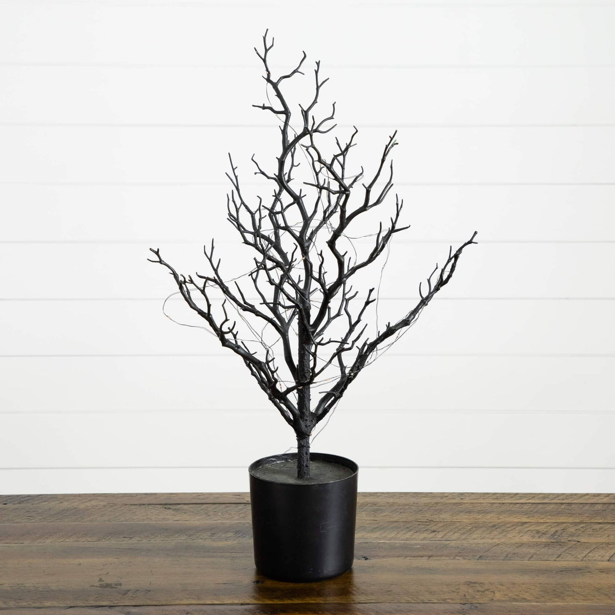 a black tree in a pot