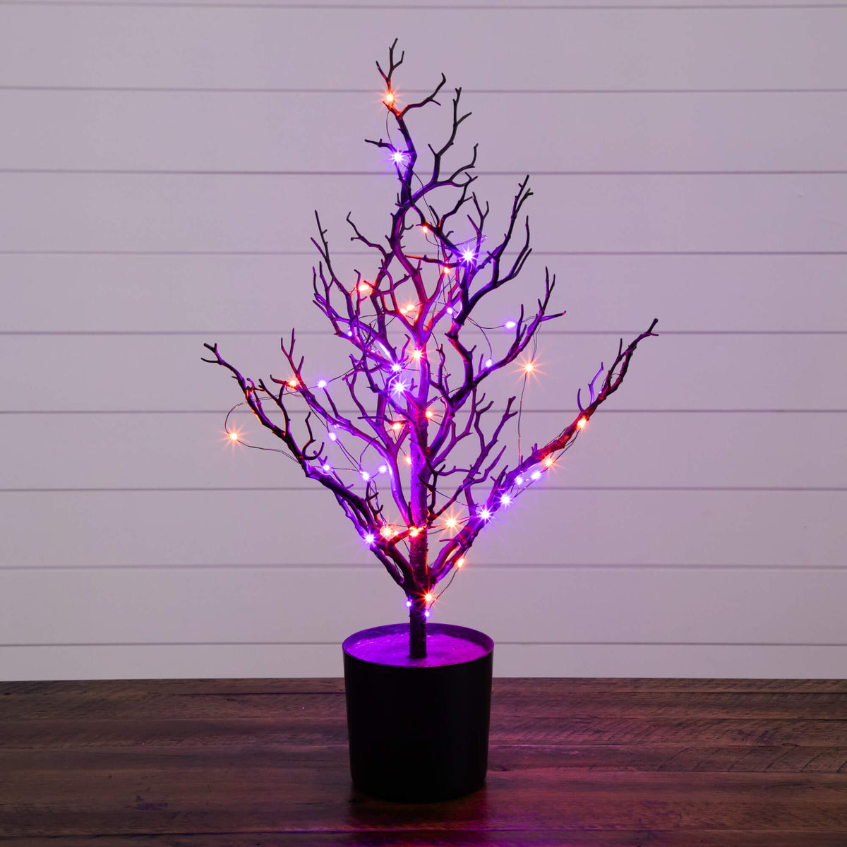a tree with lights in it