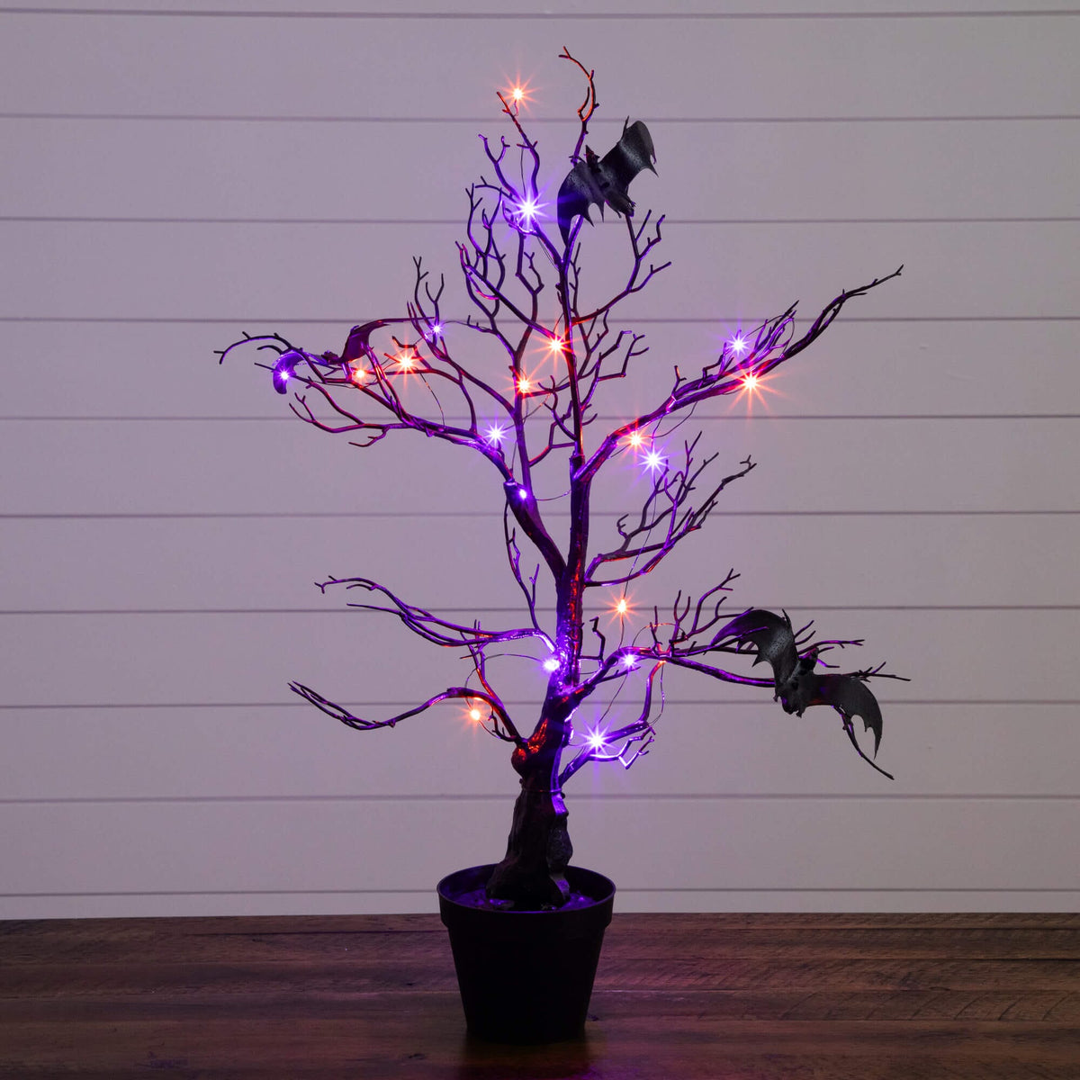 a tree with lights on it