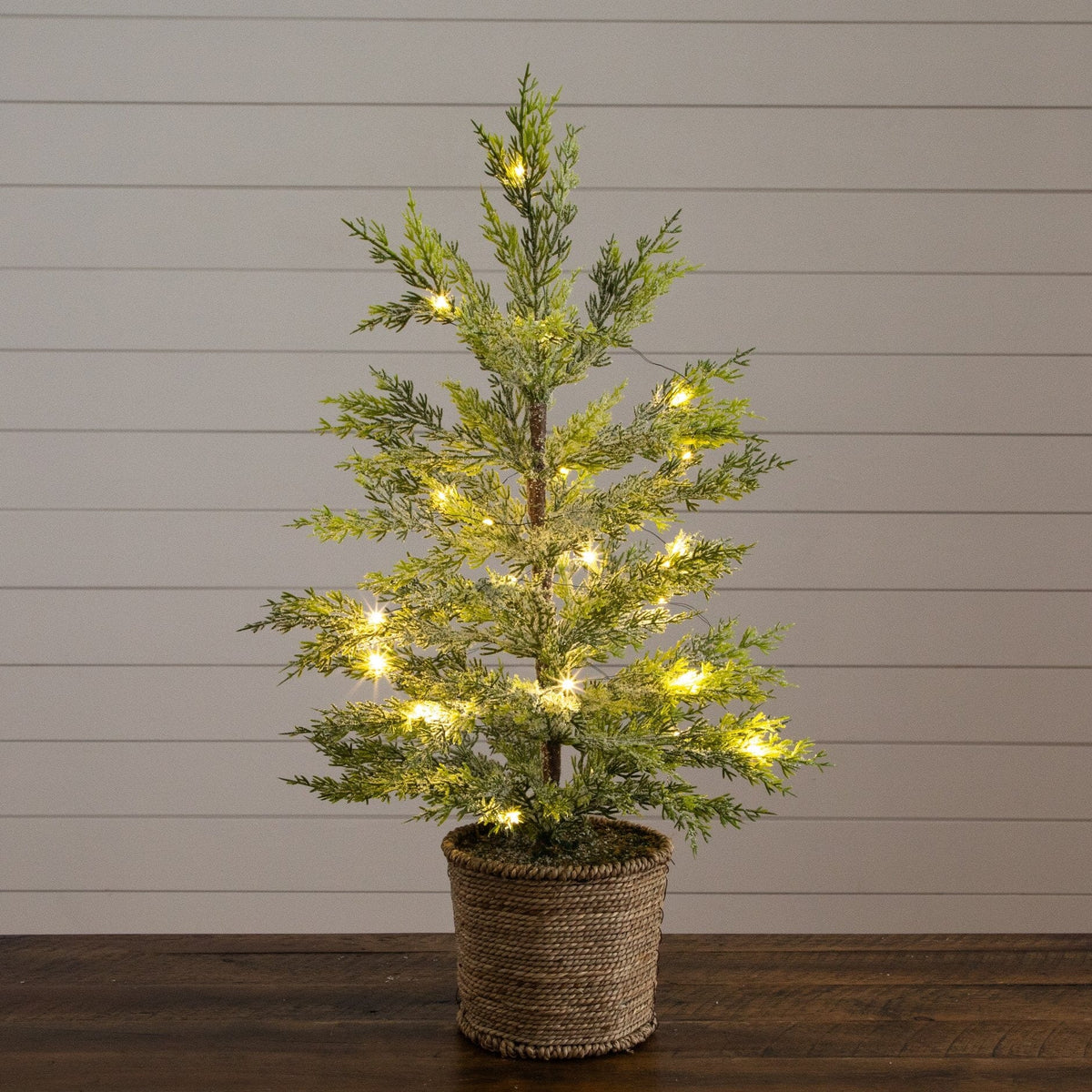 a small tree with lights in a pot