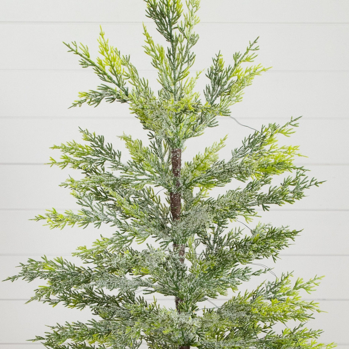 a tree with green leaves