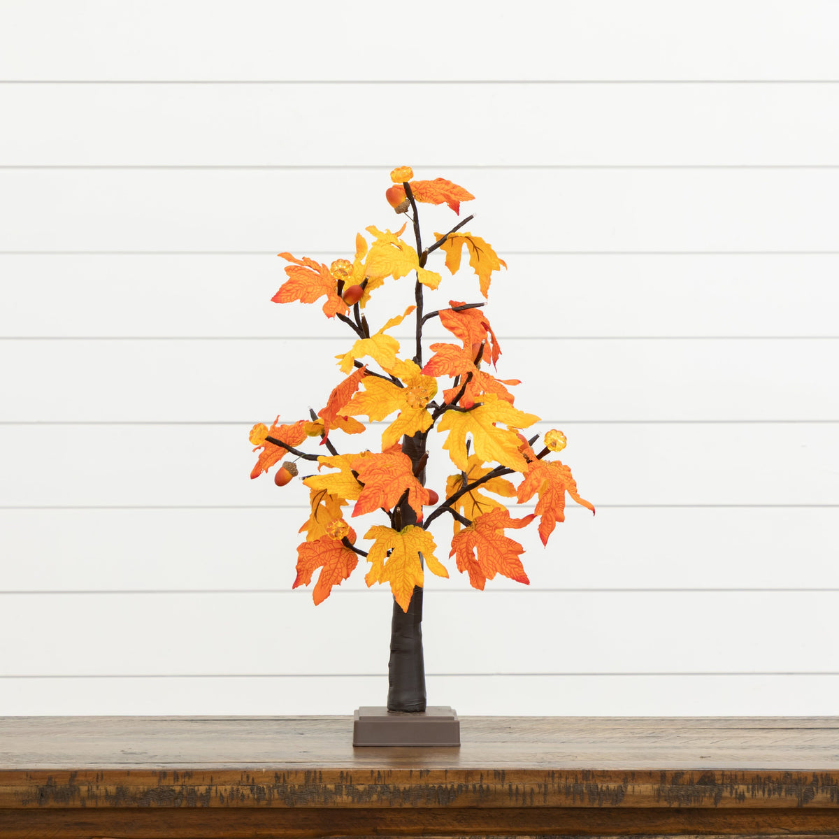 a small tree with orange and yellow leaves
